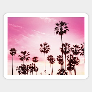 Tropical landscape palms Sticker